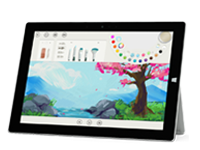 环翠Surface 无法开启、Windows 无法启动或电池无法充电
