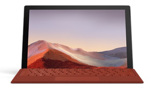 环翠清洁和维护 Surface